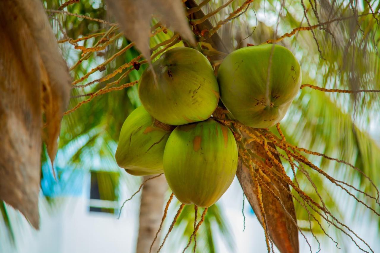 Pwani Beach Boutique Hotel Zanzibar Pwani Mchangani Εξωτερικό φωτογραφία
